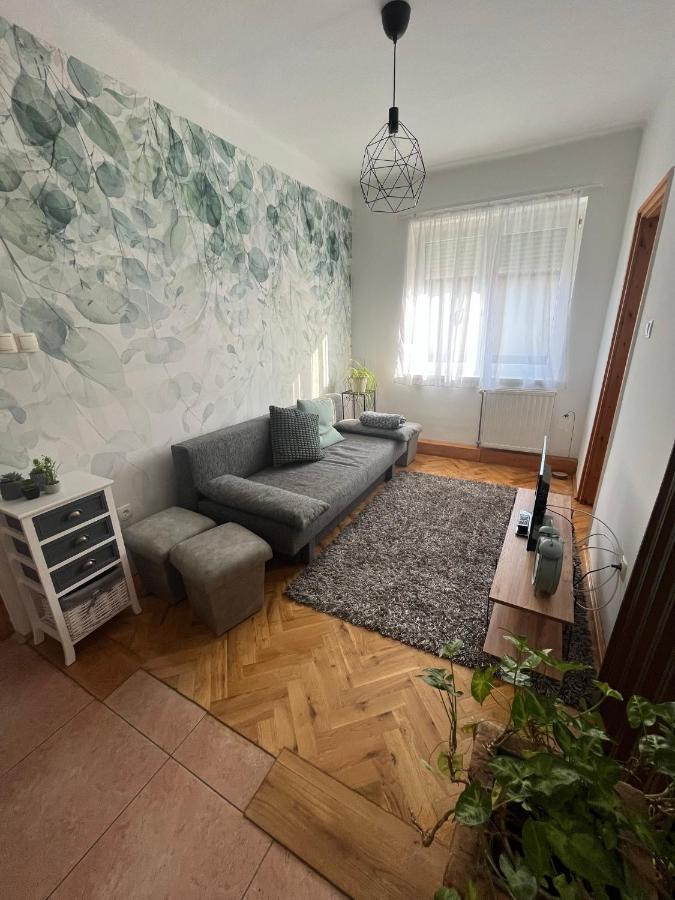 Luca Vendeghaz 1. Apartman Sárvár Buitenkant foto